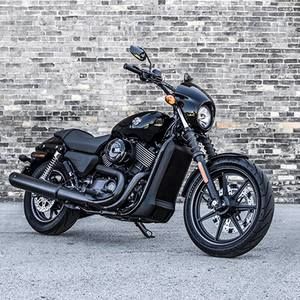 Meet your Posher, Isabella